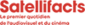 SATELLIFACTS_logo-sm-mifc